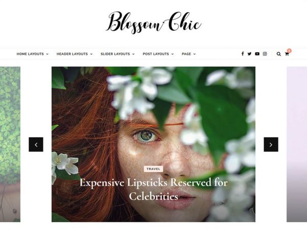 Blossom Chic Free WordPress theme