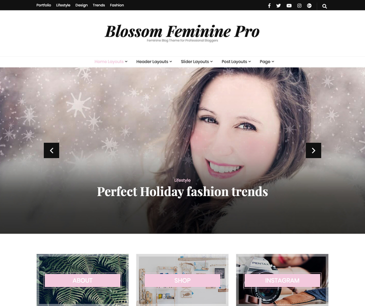 Blossom Feminine Pro WordPress Theme