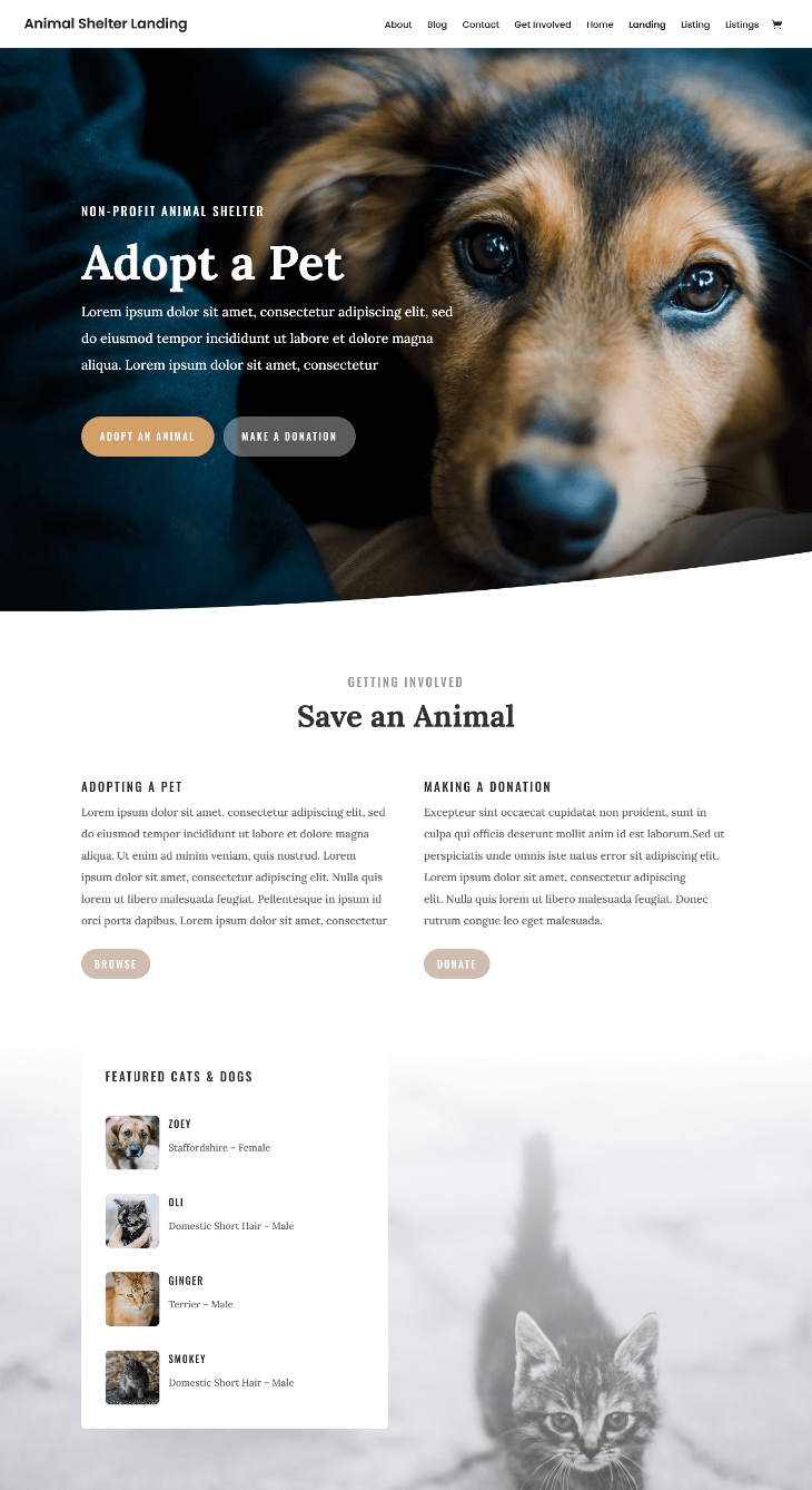 Divi Animal Shelter WordPress Theme