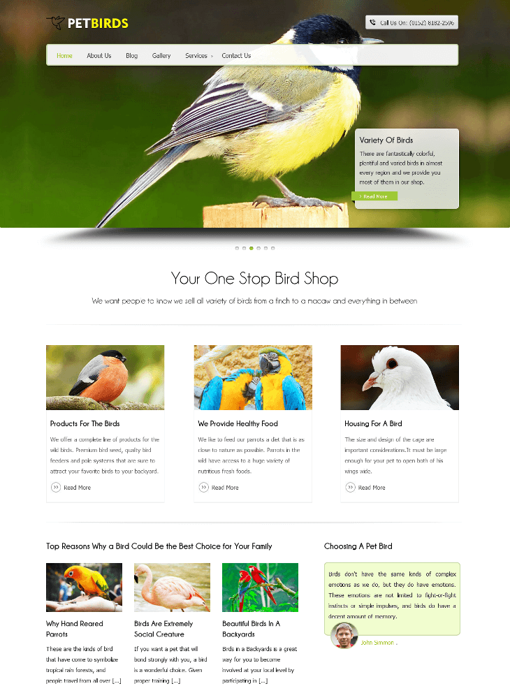 PetBirds WordPress Theme